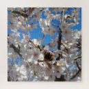 Search for bumblebee puzzles Insect