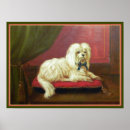 Search for bichons art Maltese