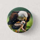 Search for happy fathers day eagle Dad