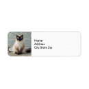 Search for siamese cats return address labels Feline