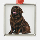 Search for large christmas tree decorations Dog