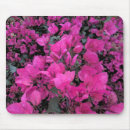 Search for bougainvillea electronics Pink