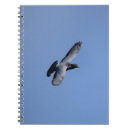 Search for pigeon notebooks Flying