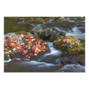 Search for porcupine mountains posters River