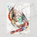 Search for translucent postcards Ocean