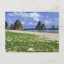 Search for okinawa postcards Beach