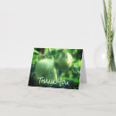 Search for tomatoes photography Green