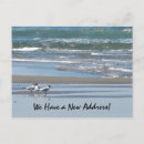Search for seabirds cards invites Beach