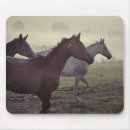 Search for arabians mousepads Bay