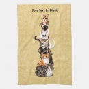 Search for tabby kitchen dining Animals
