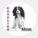 Search for cavalier stickers Ckcs