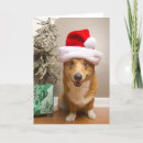 Search for pembroke corgi christmas cards Colour image
