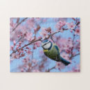 Search for japanese cherry blossoms puzzles Pink