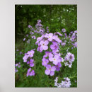 Search for purple christmas art Floral