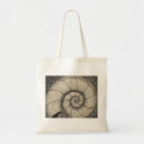 Search for ammonite accessories Shell