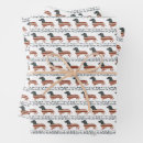 Search for peoplely wrapping paper Funny