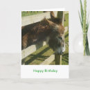 Search for funny donkey birthday cards Animals