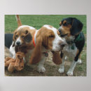 Search for basset hound posters Beagle