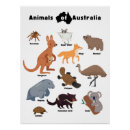 Search for australian animal posters Educational