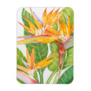 Search for exotic home living Orange