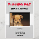 Search for missing flyers Dog