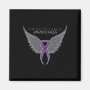 Search for anges magnets Angel