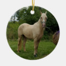Search for palomino horse christmas tree decorations Farm