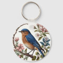 Search for bluebird key rings Nature