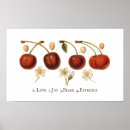 Search for cheri posters Floral