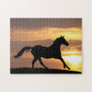 Search for arabian horse puzzles Equine