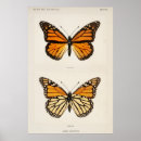 Search for monarch butterfly posters Vintage