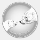 Search for churchill stickers Cub