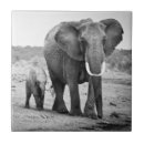 Search for four animals tiles Horizontal