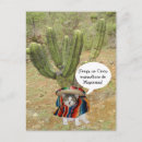 Search for mexican cat postcards Funny