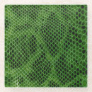 Search for python coasters Texture