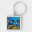 Search for reef fish key rings Marine