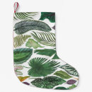 Search for tropical christmas Exotic