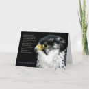 Search for peregrine cards Falcon