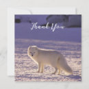 Search for arctic fox cards Vulpes lagopus