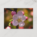 Search for blossoming apple tree invitations Flower