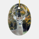 Search for whitetail deer christmas tree decorations Buck