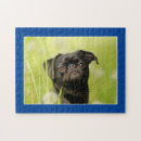 Search for black pug puzzles Cute dog