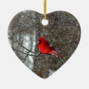 Search for cardinal photo christmas tree decorations Winter