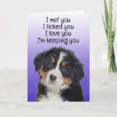 Search for bernese mountain dog cards Funny