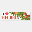 Search for peaches bumper stickers Georgia