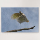 Search for cockatoo bird puzzles Australia
