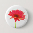 Search for gerberas badges Red
