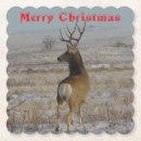 Search for winter snow scene coasters Wildlife