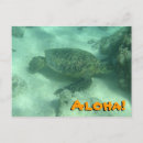 Search for hawaii turtle postcards Beach