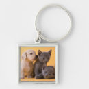 Search for kitten square key rings Puppy